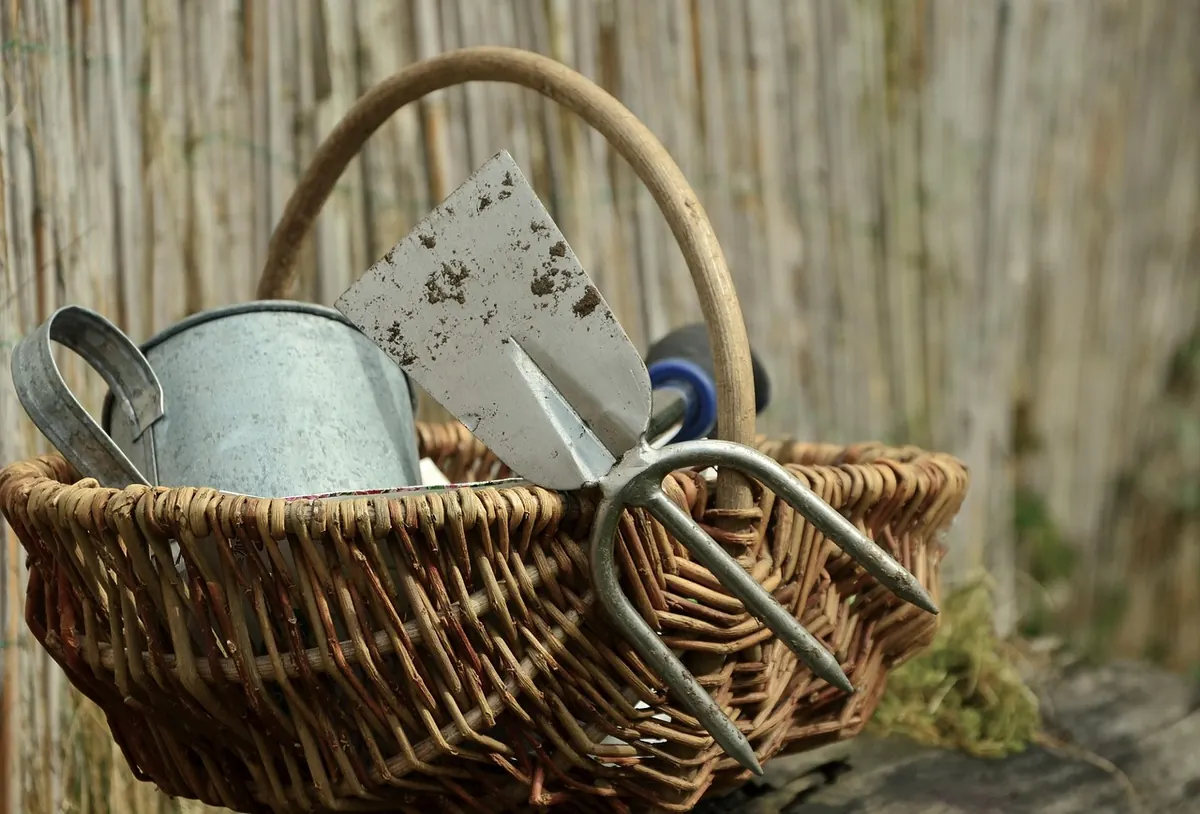 A Seasonal Checklist for Island Allotments: Spring to Winter