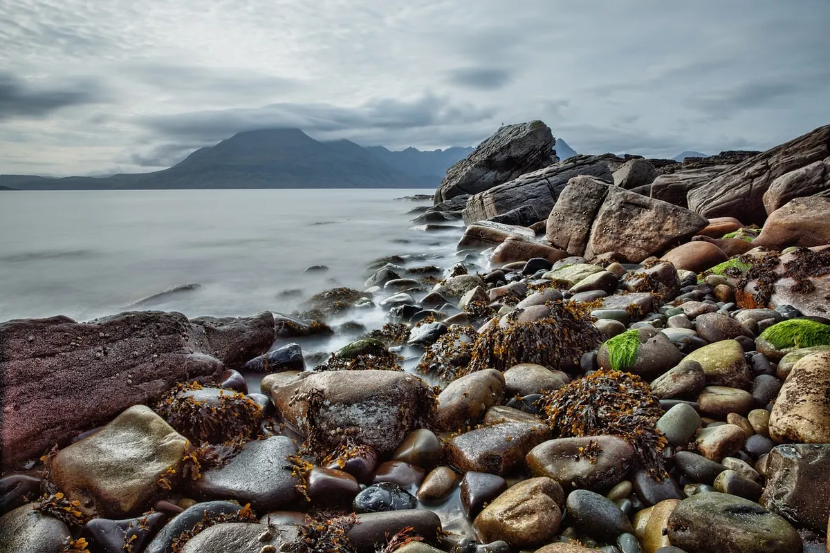 Using Seaweed in the Island Garden: A No-Nonsense Guide
